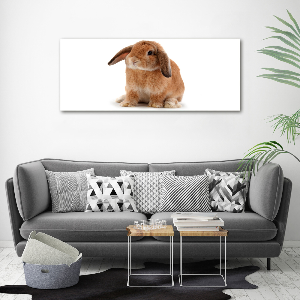 Tableau sur toile Lapin roux