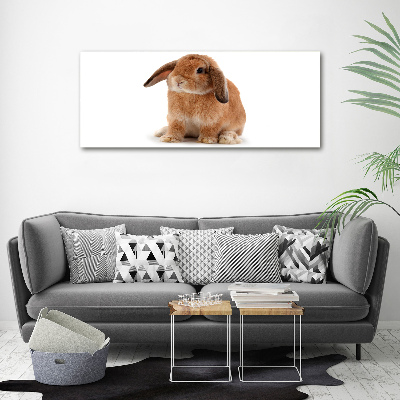 Tableau sur toile Lapin roux