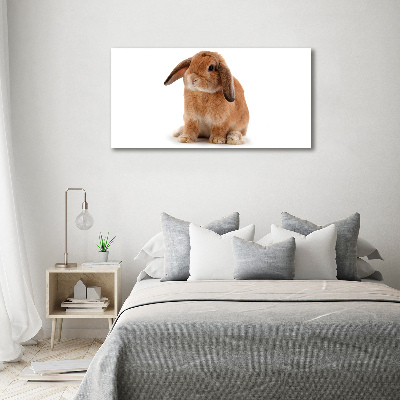 Tableau sur toile Lapin roux