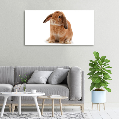 Tableau sur toile Lapin roux