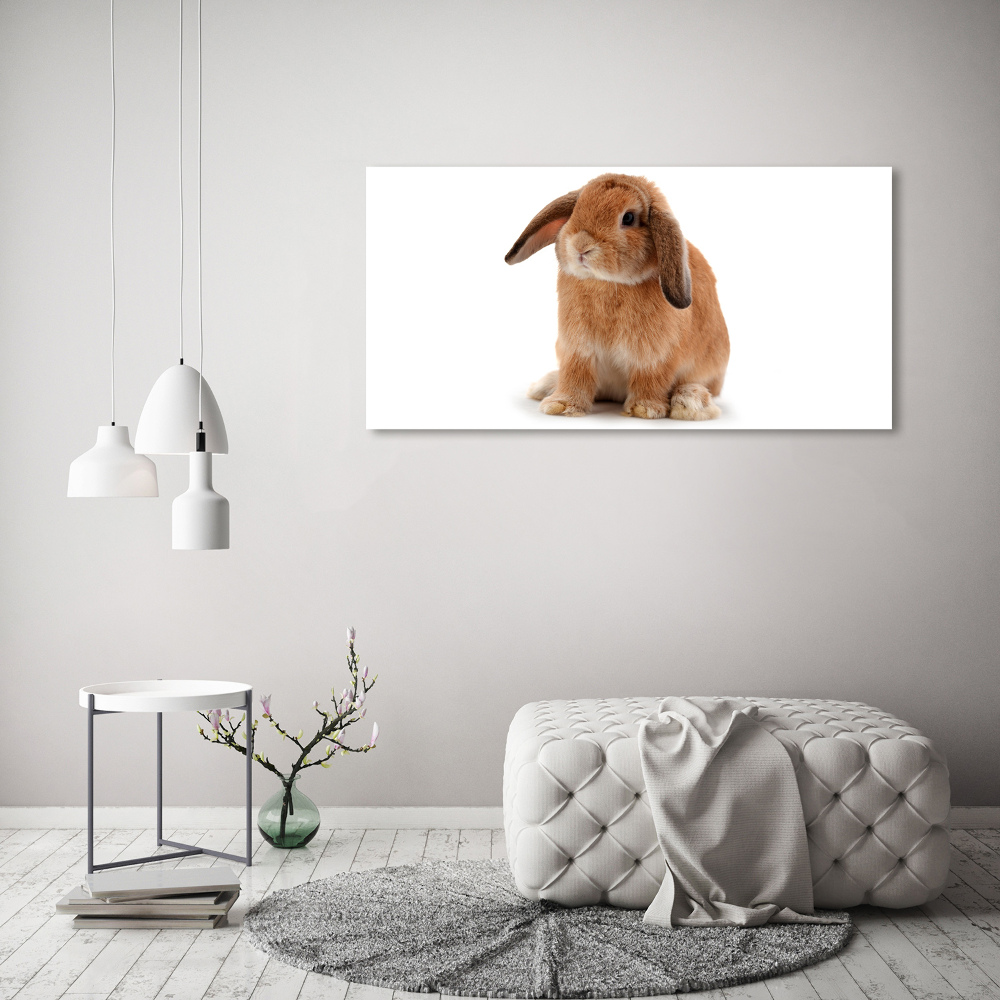 Tableau sur toile Lapin roux