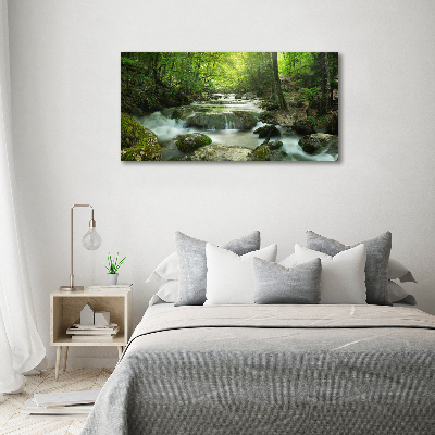 Tableau mural sur toile Cascade en forêt