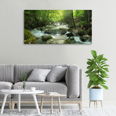 Tableau mural sur toile Cascade en forêt