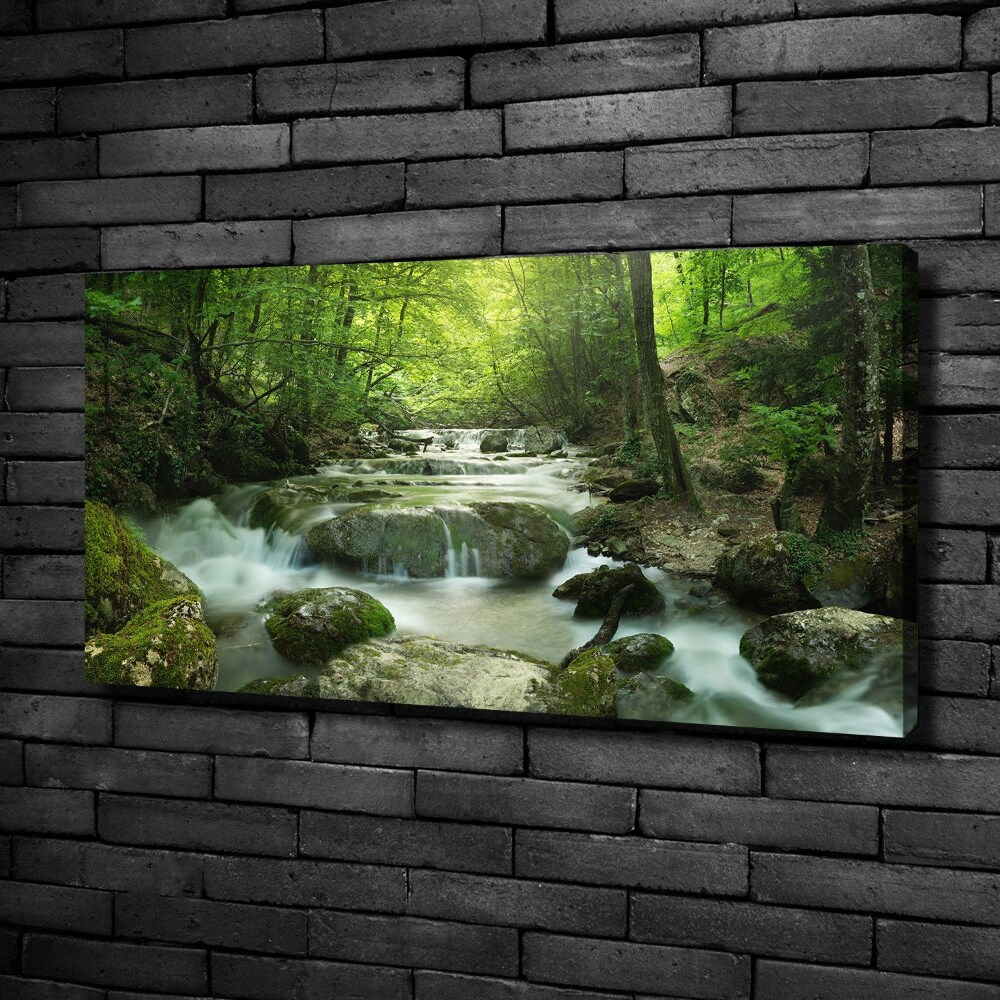 Tableau mural sur toile Cascade en forêt