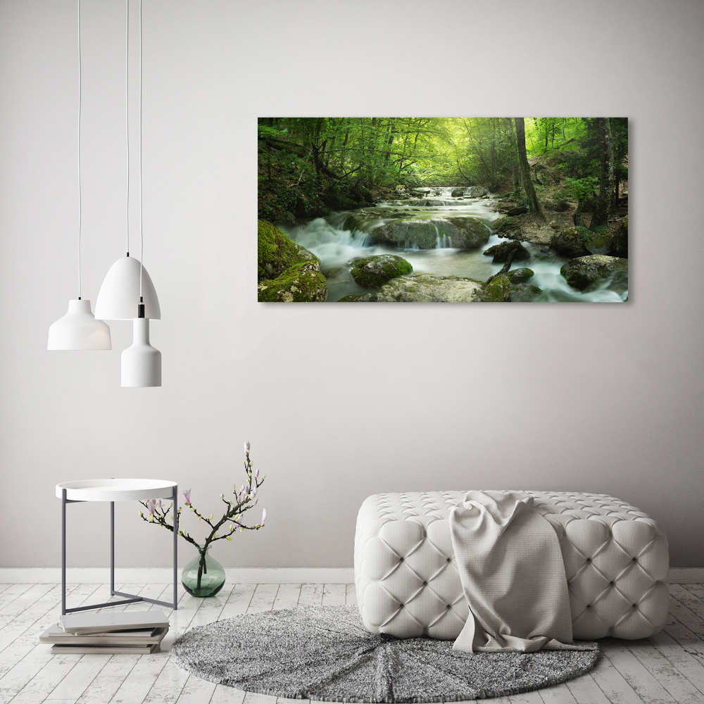 Tableau mural sur toile Cascade en forêt