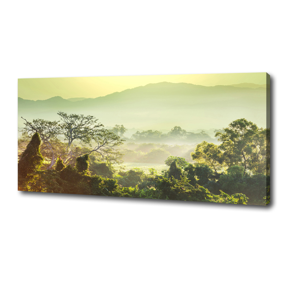 Tableau mural sur toile La jungle