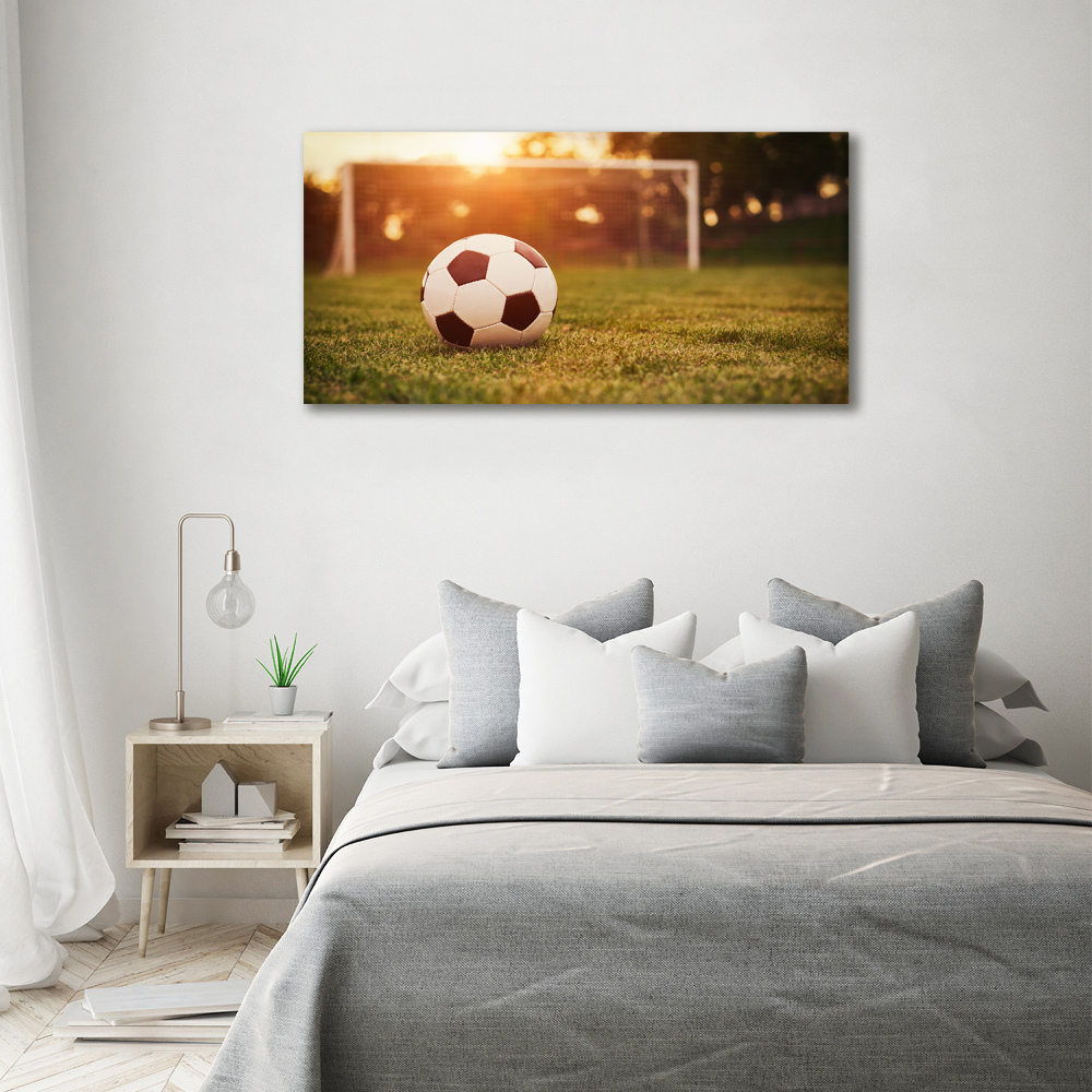 Tableau sur toile Ballon sur la pelouse