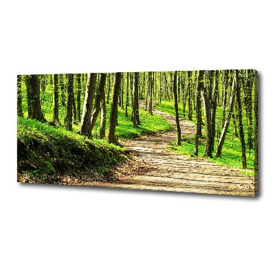 Tableau imprimé sur toile Sentier dans la forêt