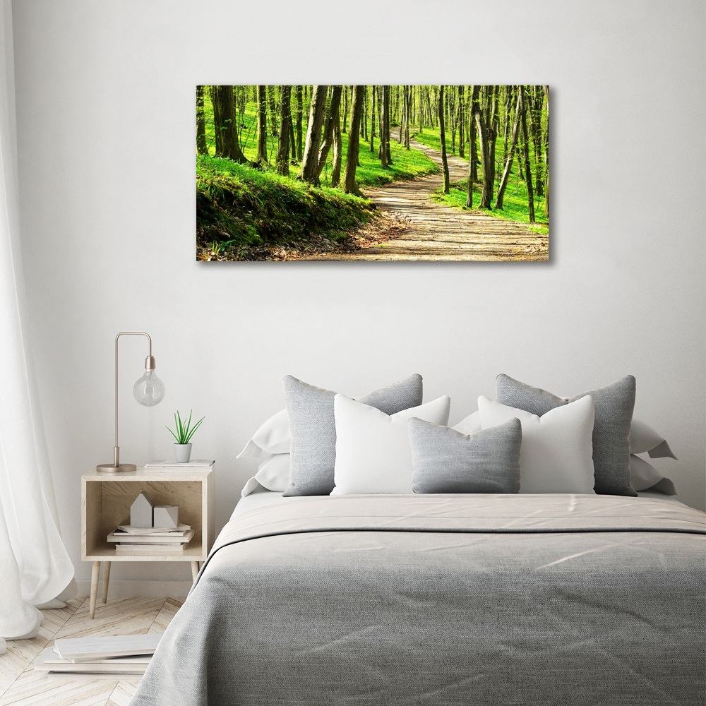 Tableau imprimé sur toile Sentier dans la forêt