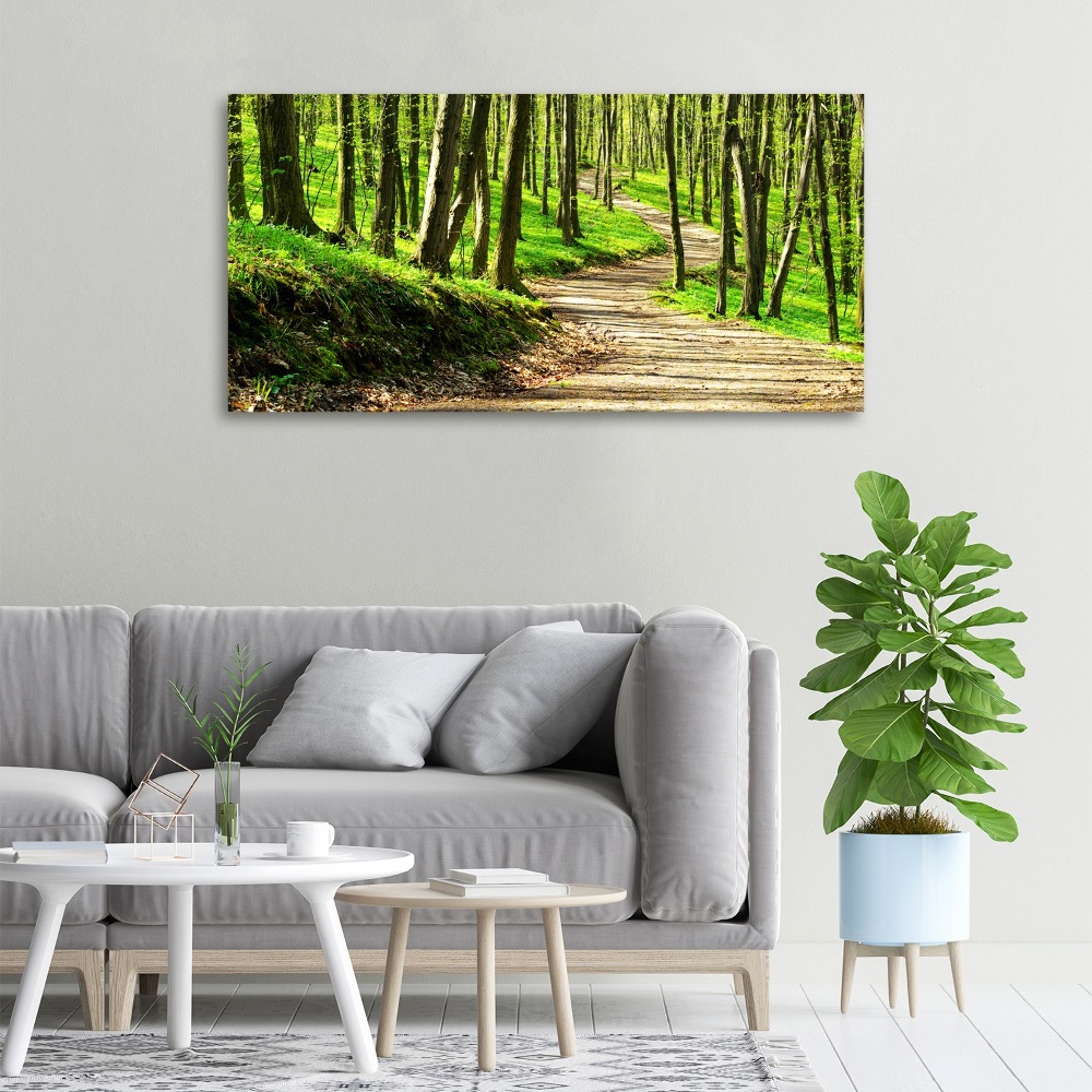 Tableau imprimé sur toile Sentier dans la forêt