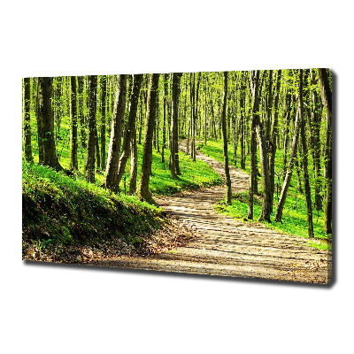 Tableau imprimé sur toile Sentier dans la forêt