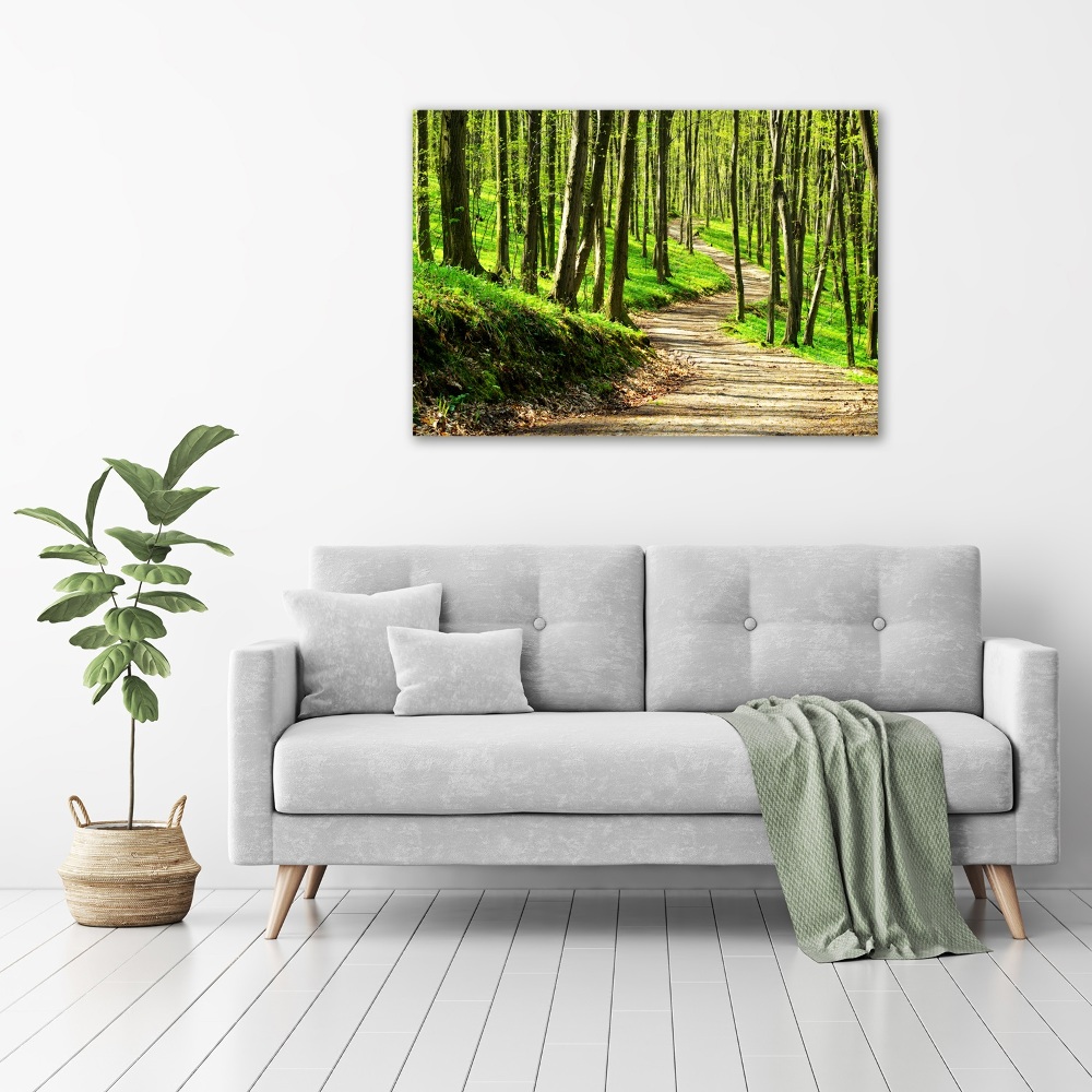 Tableau imprimé sur toile Sentier dans la forêt