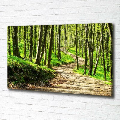 Tableau imprimé sur toile Sentier dans la forêt