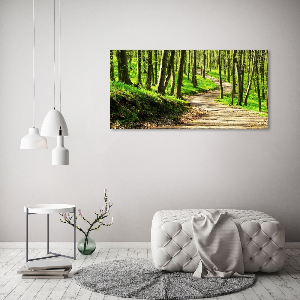 Tableau imprimé sur toile Sentier dans la forêt