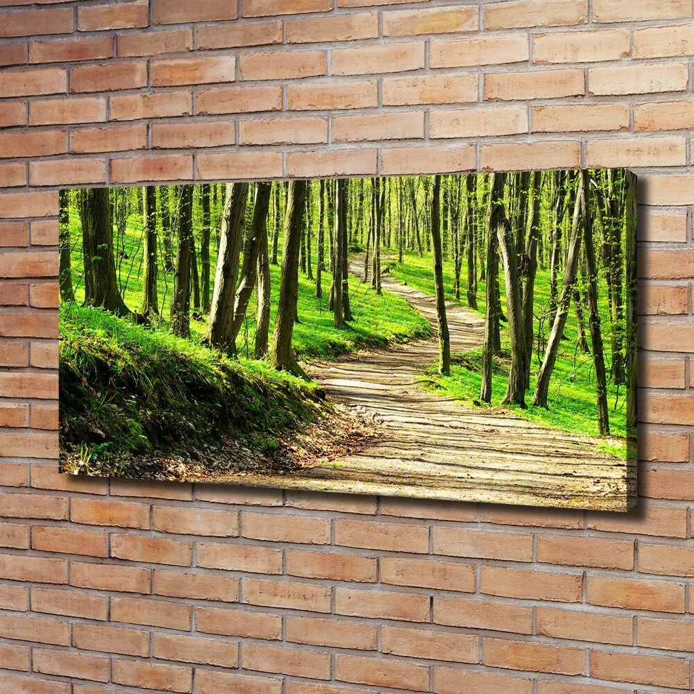 Tableau imprimé sur toile Sentier dans la forêt