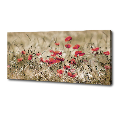 Tableau photo sur toile Coquelicots