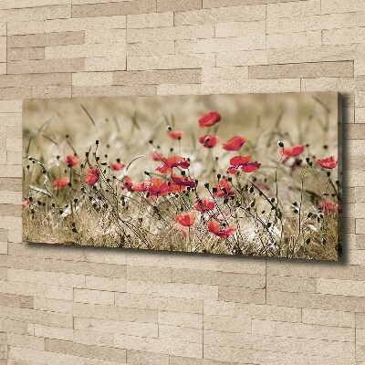 Tableau photo sur toile Coquelicots