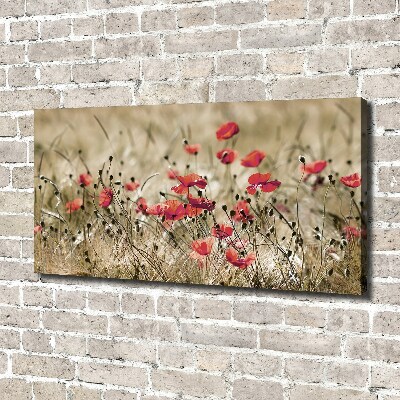 Tableau photo sur toile Coquelicots