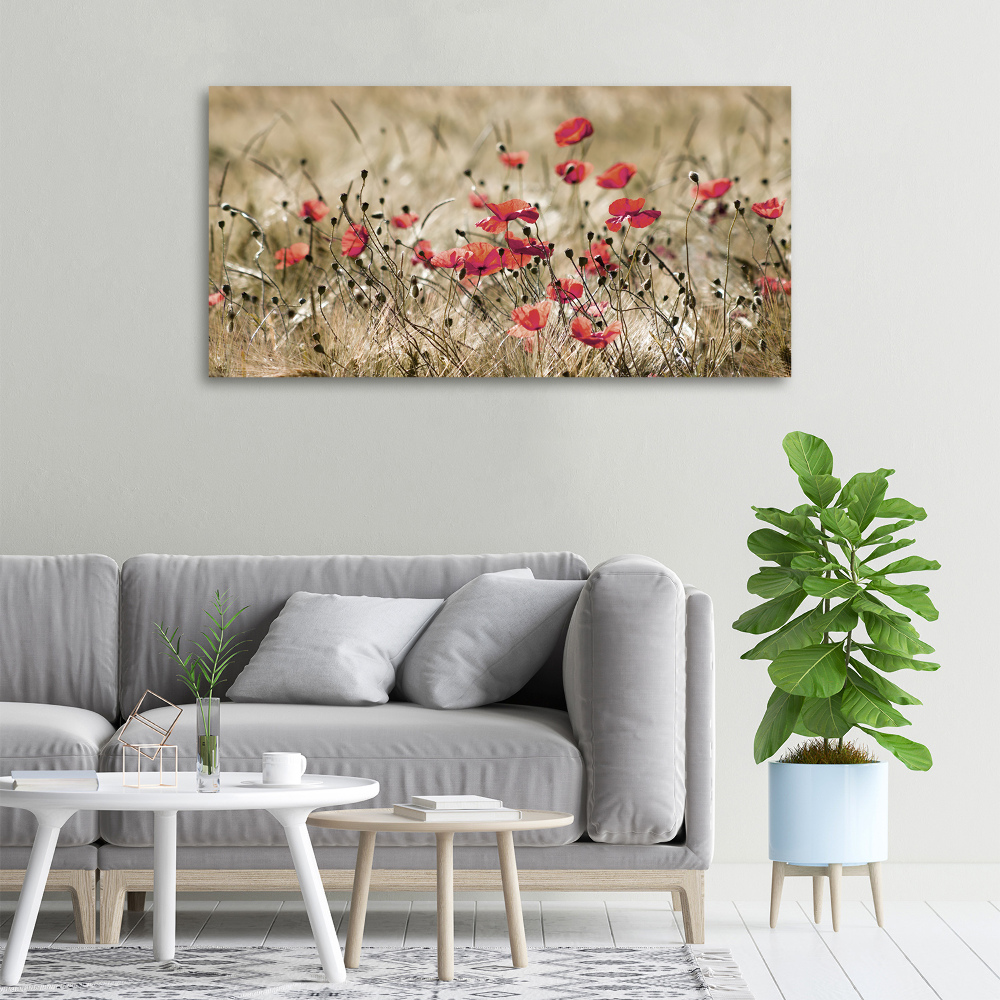 Tableau photo sur toile Coquelicots