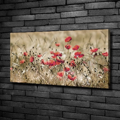 Tableau photo sur toile Coquelicots