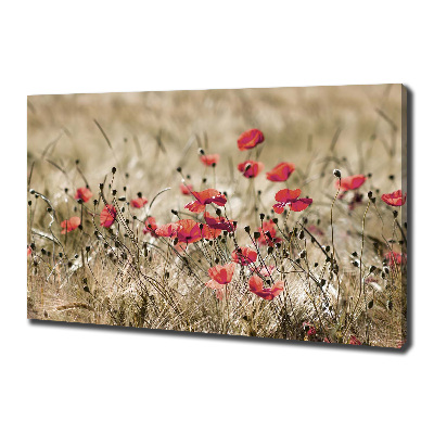 Tableau photo sur toile Coquelicots