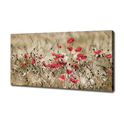 Tableau photo sur toile Coquelicots