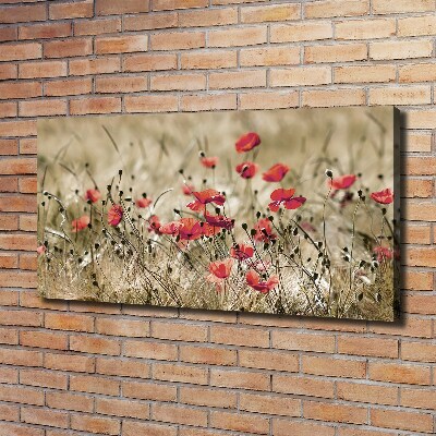 Tableau photo sur toile Coquelicots