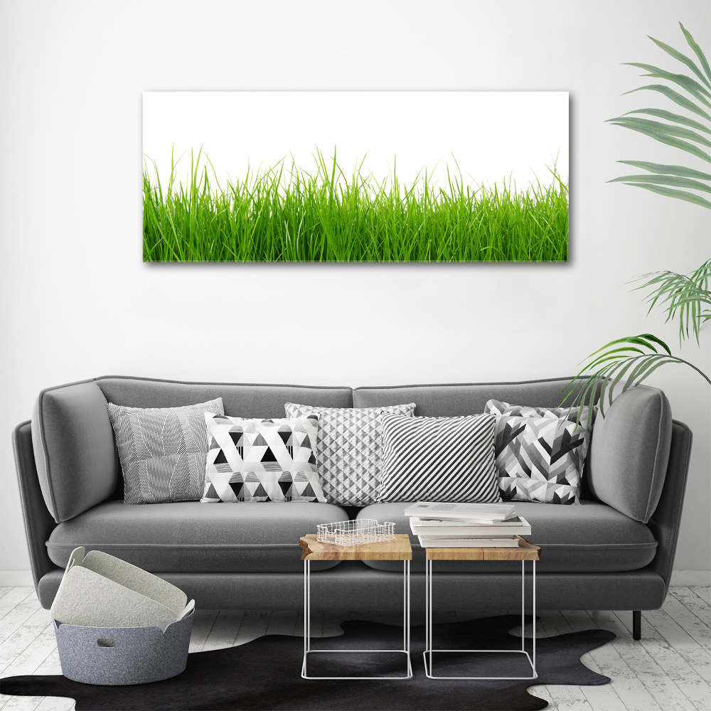 Tableau sur toile Herbe