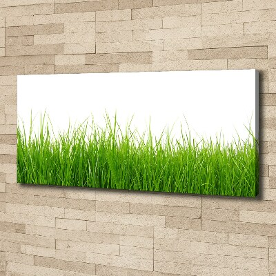 Tableau sur toile Herbe