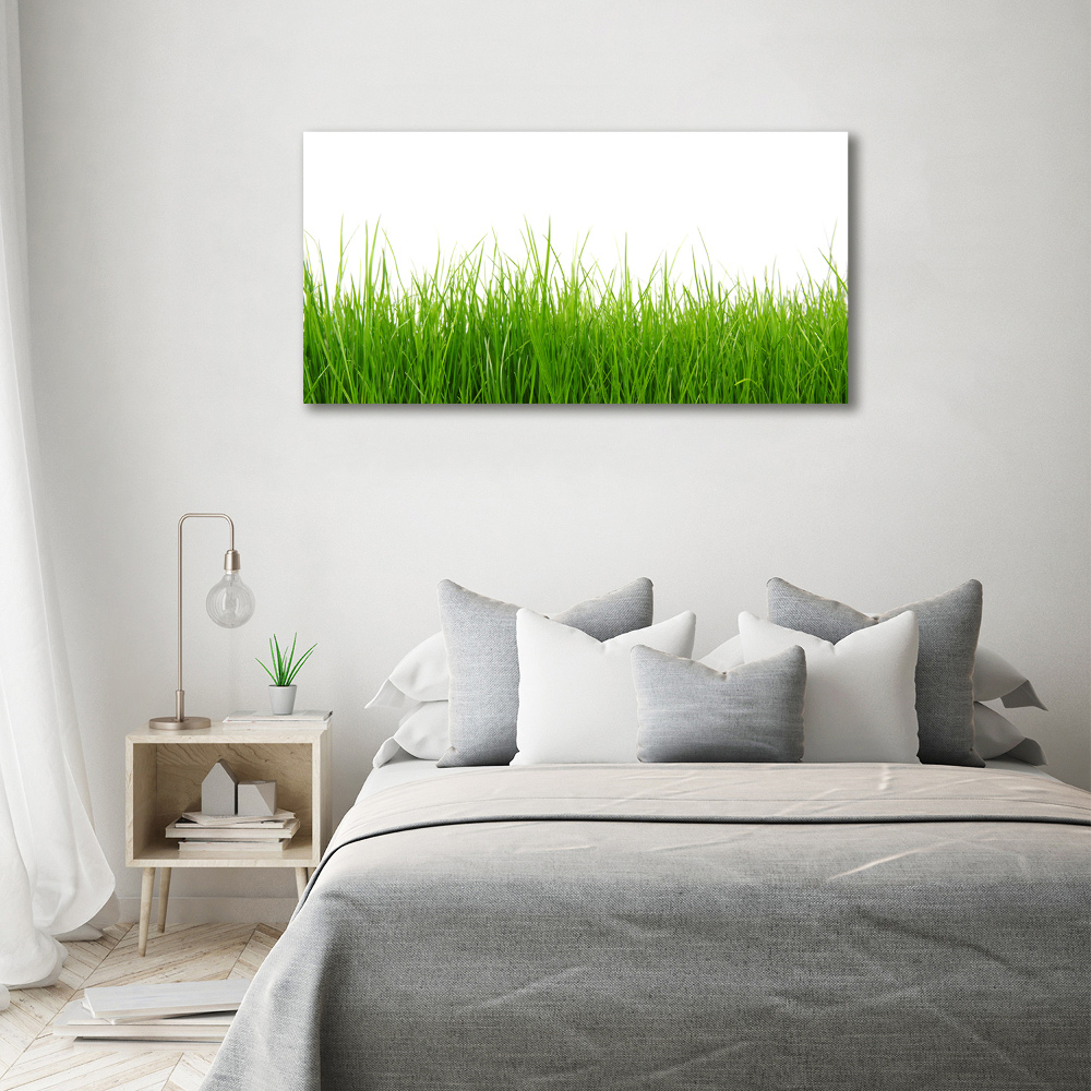 Tableau sur toile Herbe