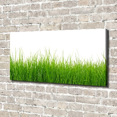 Tableau sur toile Herbe