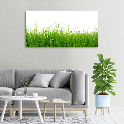 Tableau sur toile Herbe