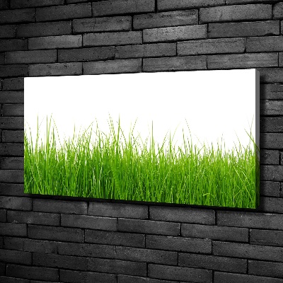 Tableau sur toile Herbe