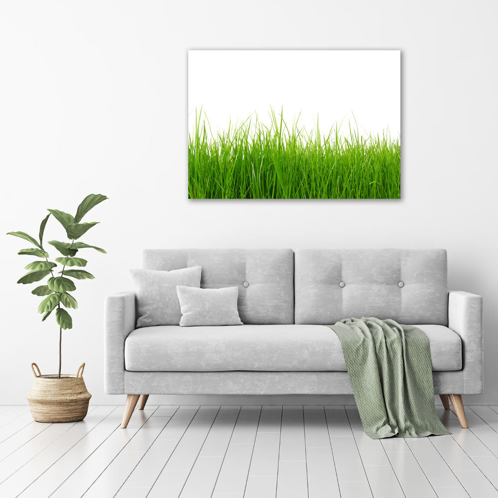 Tableau sur toile Herbe