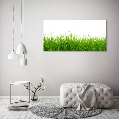 Tableau sur toile Herbe