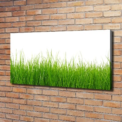 Tableau sur toile Herbe