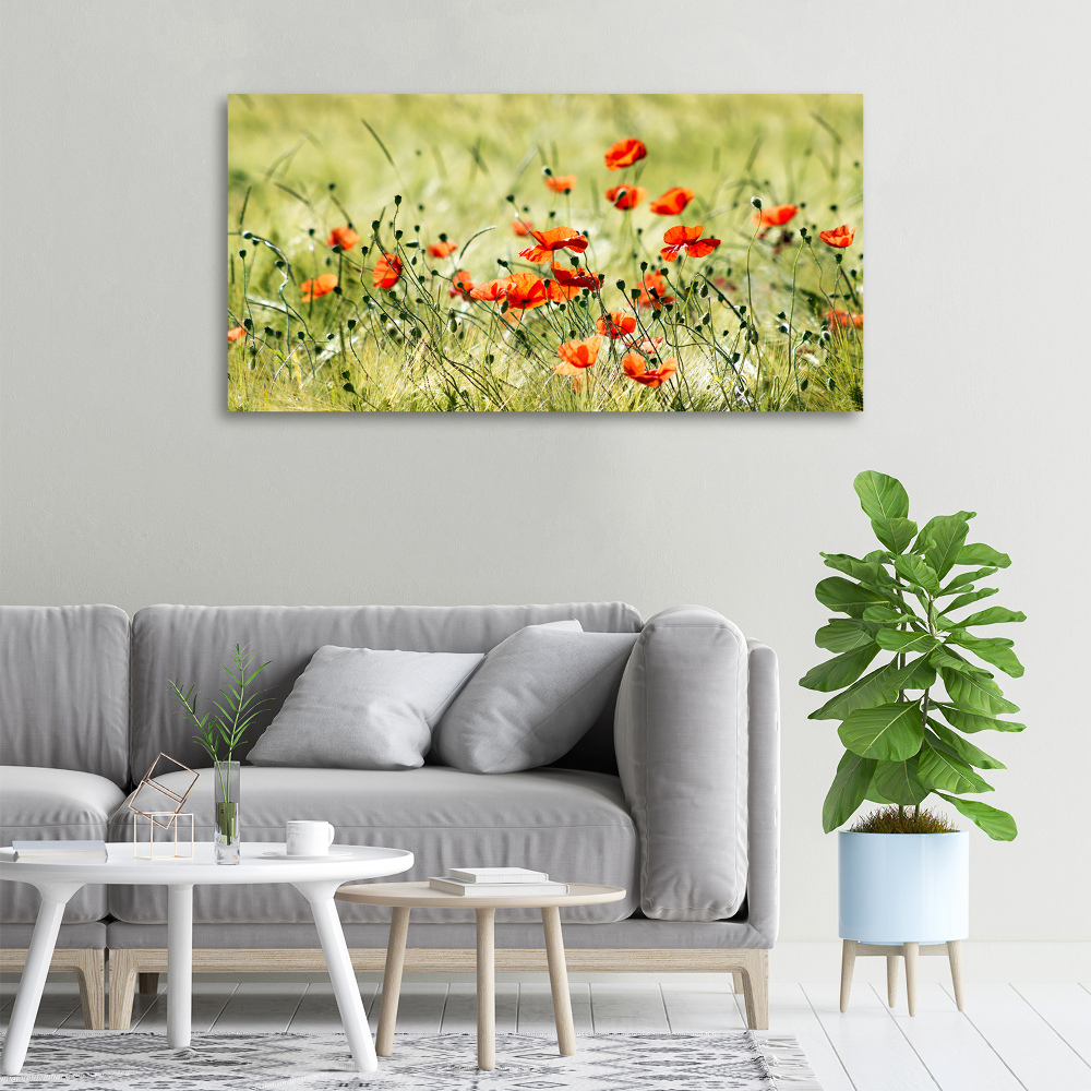 Tableau photo sur toile Maki