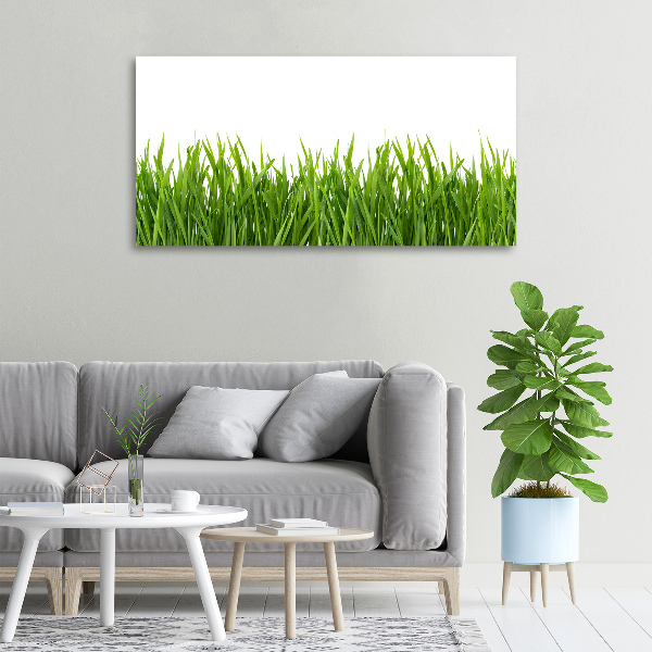 Tableau toile imprimée Herbe