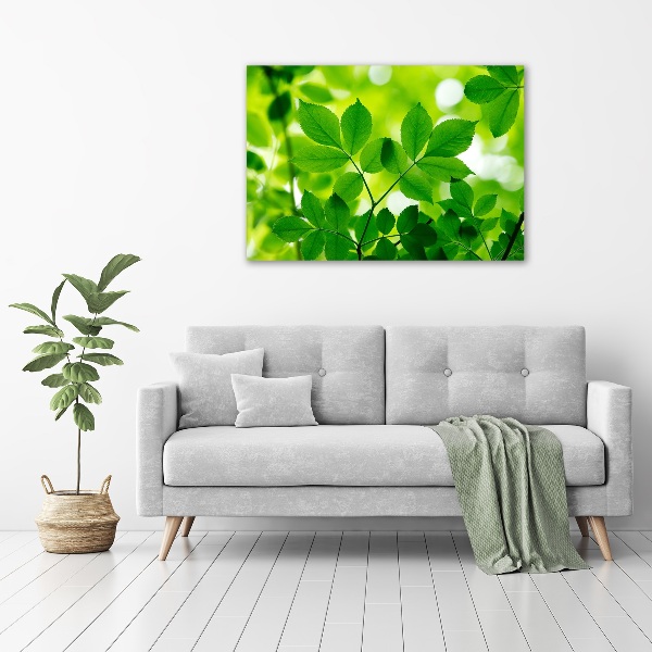 Tableau toile imprimée Feuilles vertes
