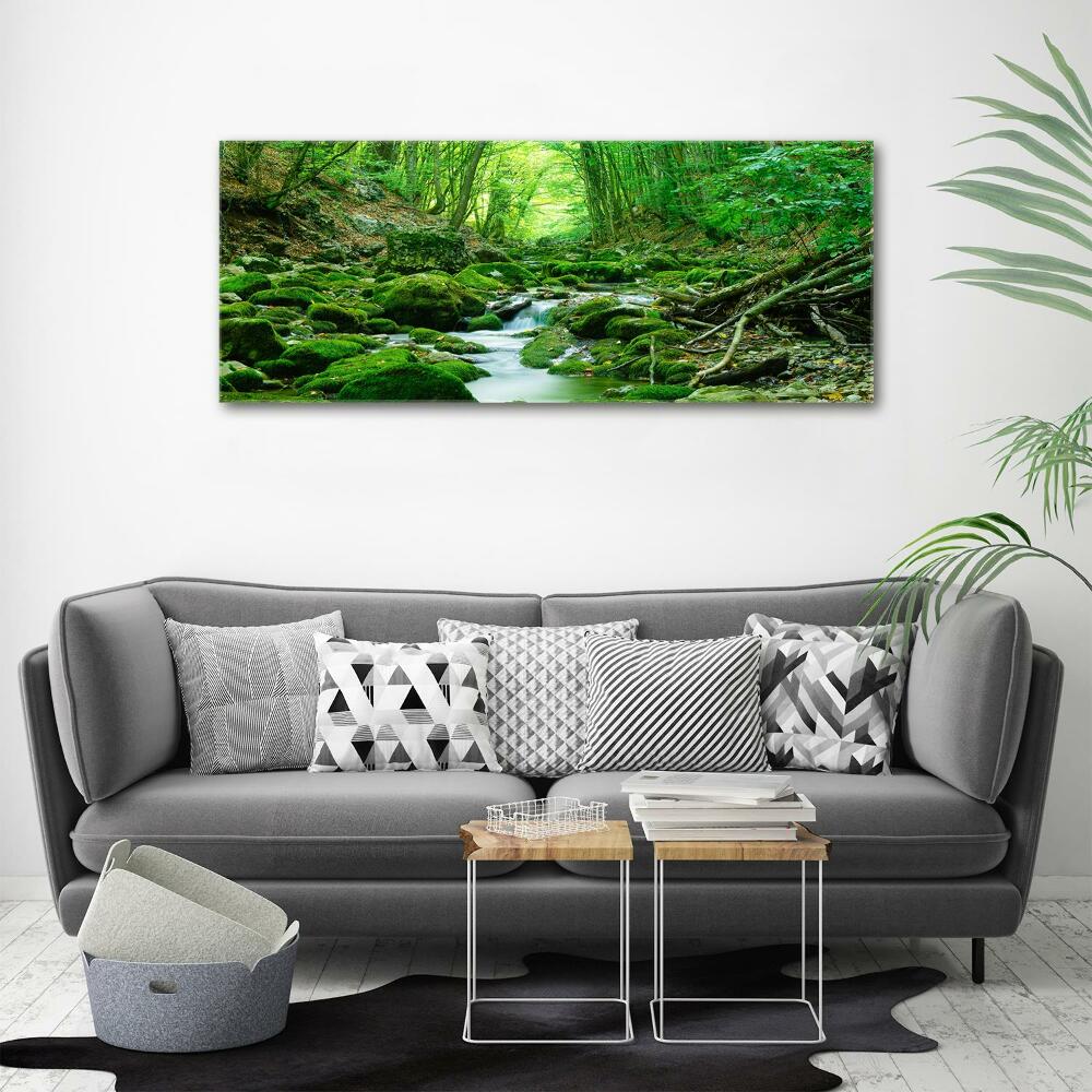 Tableau imprimé sur toile Ruisseau dans la forêt