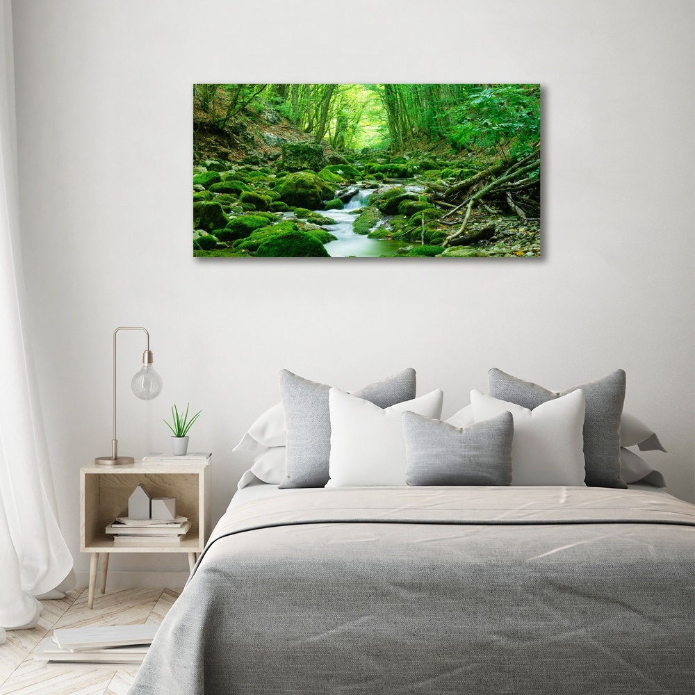 Tableau imprimé sur toile Ruisseau dans la forêt