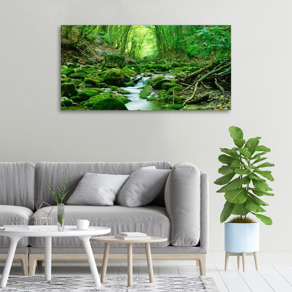 Tableau imprimé sur toile Ruisseau dans la forêt