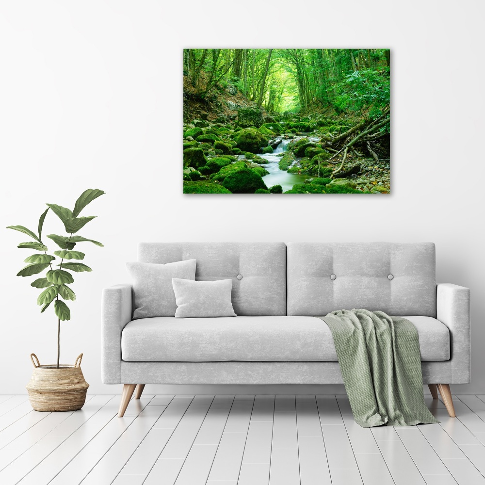 Tableau imprimé sur toile Ruisseau dans la forêt