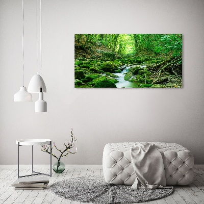 Tableau imprimé sur toile Ruisseau dans la forêt