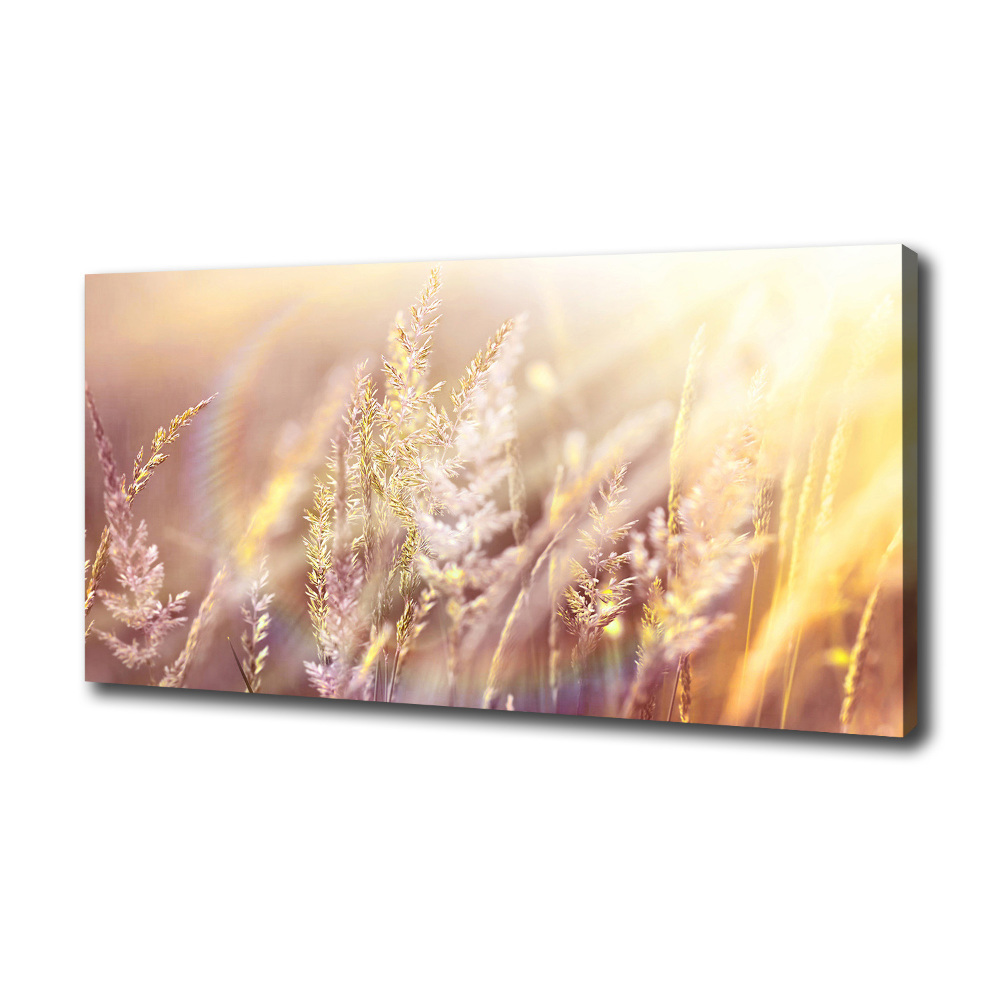 Tableau mural sur toile Grandes herbes