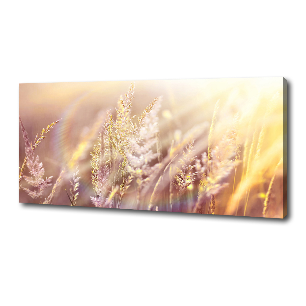 Tableau mural sur toile Grandes herbes