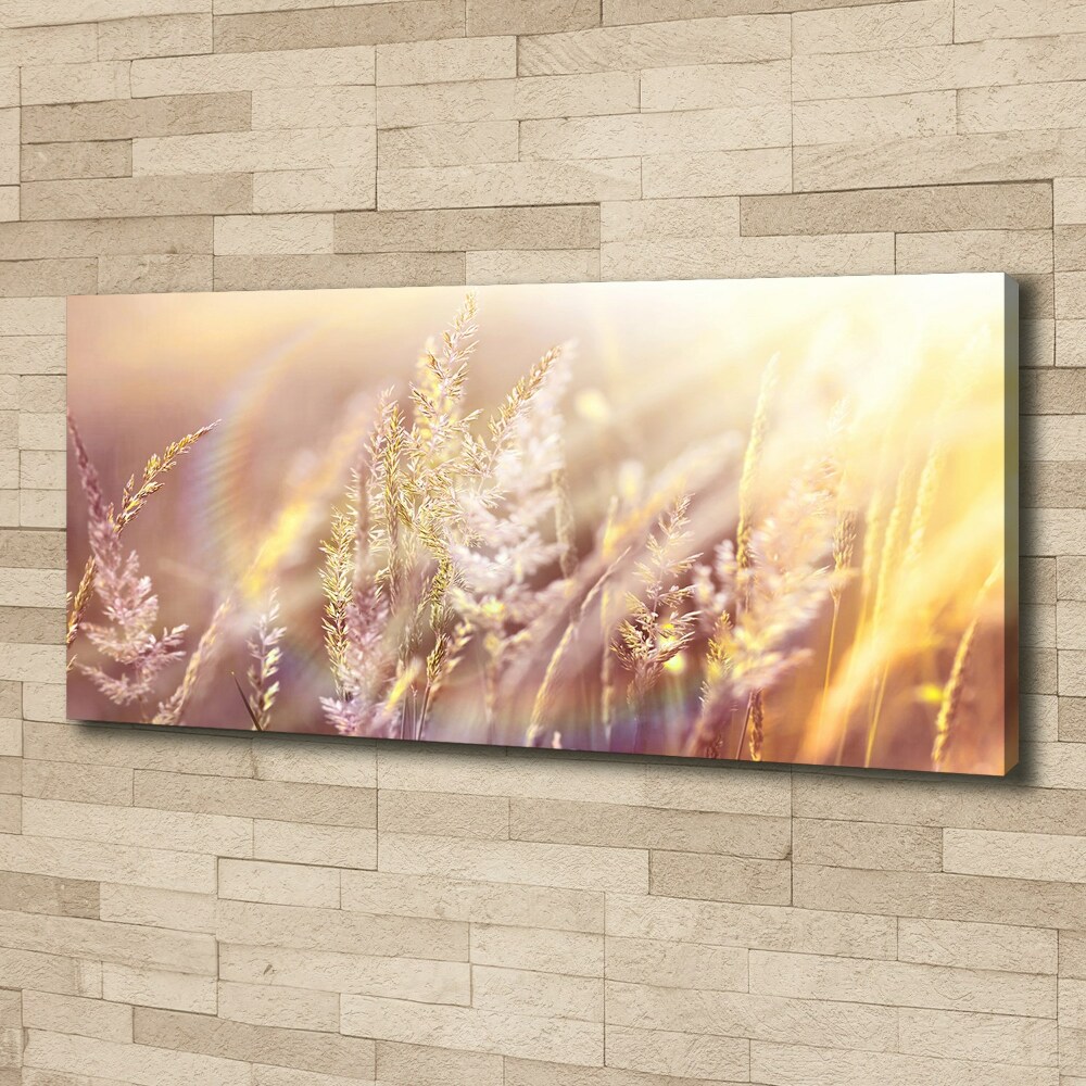 Tableau mural sur toile Grandes herbes