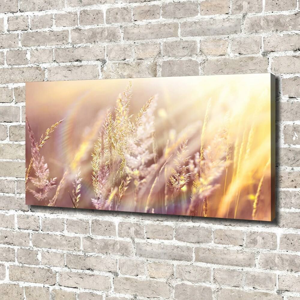 Tableau mural sur toile Grandes herbes