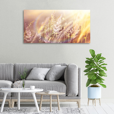 Tableau mural sur toile Grandes herbes