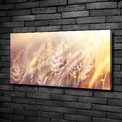 Tableau mural sur toile Grandes herbes